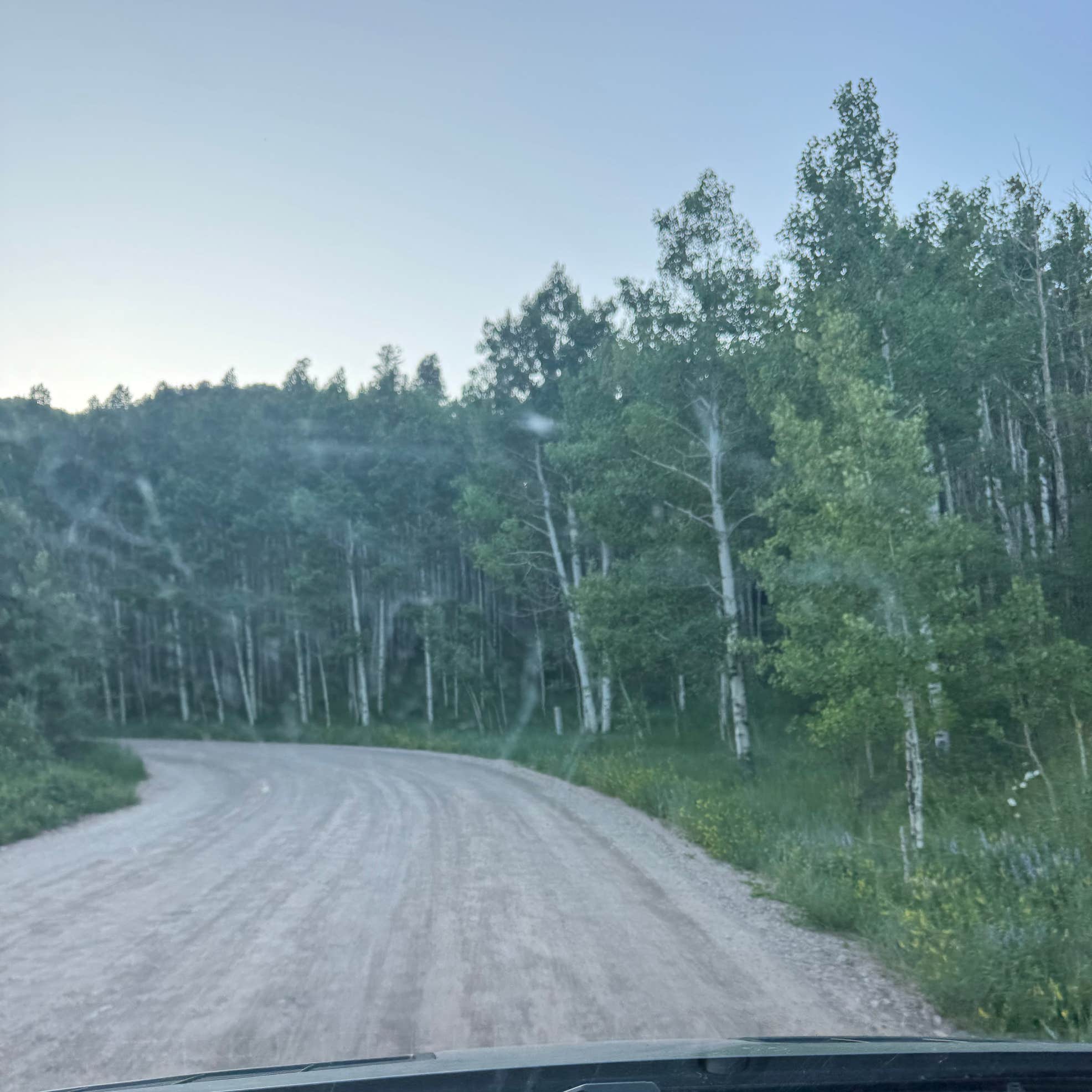 Four Mile Road Dispersed Camping | Carbondale, Colorado