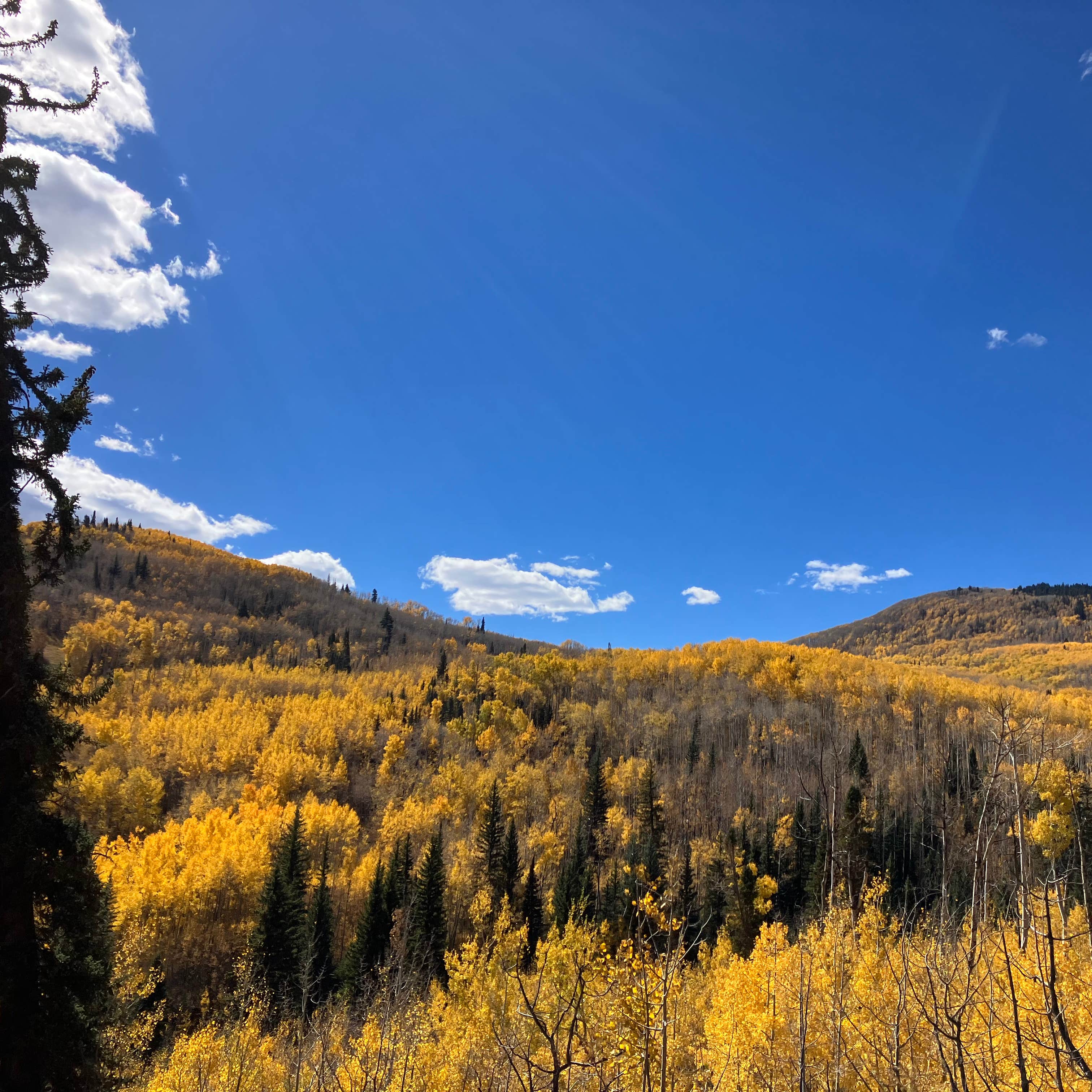 Four Mile Road Dispersed Camping | Carbondale, Colorado