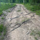 Review photo of Four Mile Road Dispersed by VanRumschpringa V., June 22, 2025