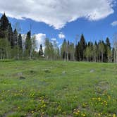 Review photo of Four Mile Road Dispersed by Raven S., June 5, 2026