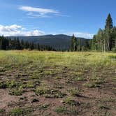 Review photo of Four Mile Road Dispersed by dakota H., August 16, 2026