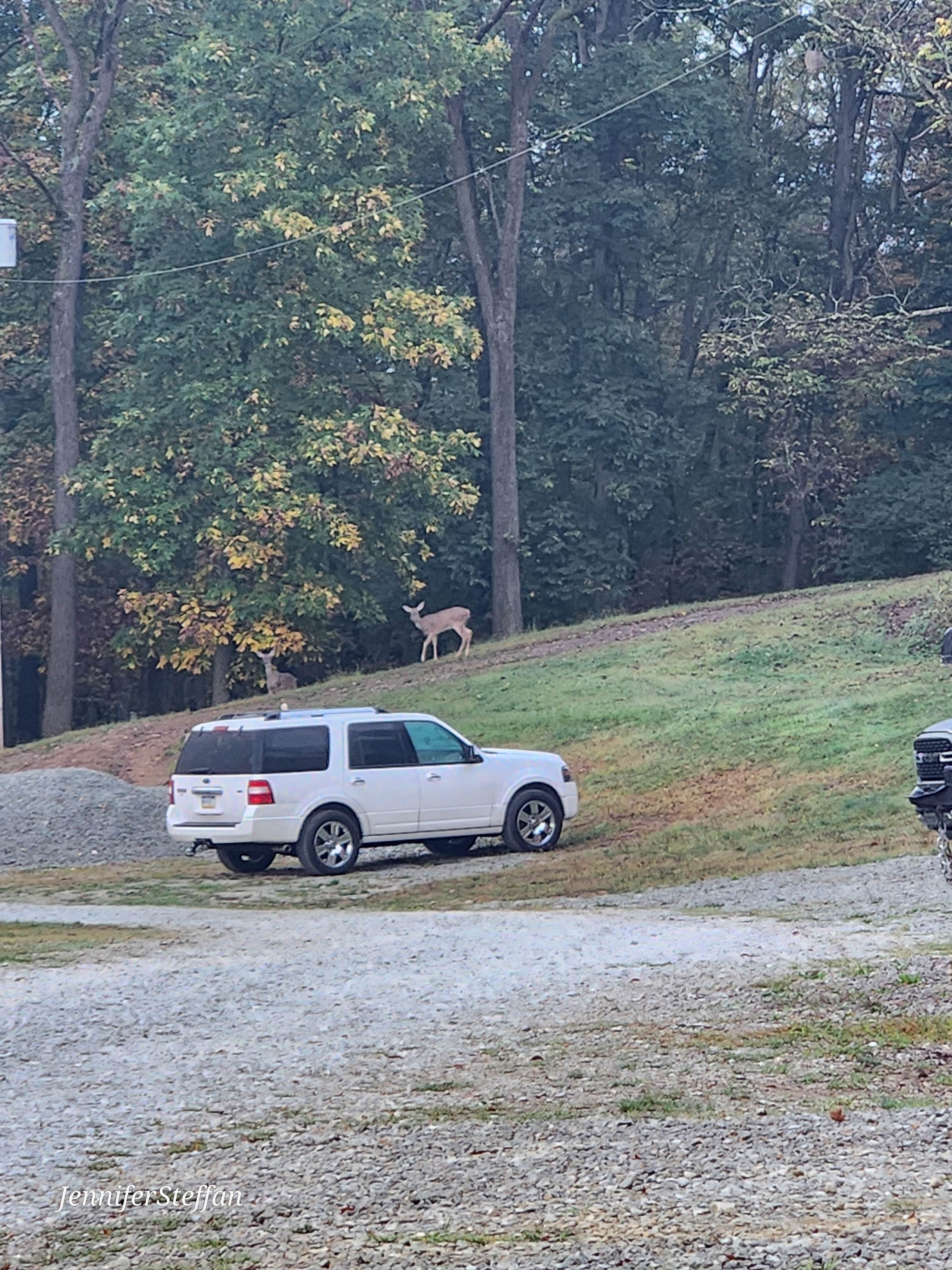 Camper-submitted photo at Fox Den Acres Campground near Washington, PA