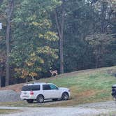 Review photo of Fox Den Acres Campground by Jennifer S., September 27, 2025