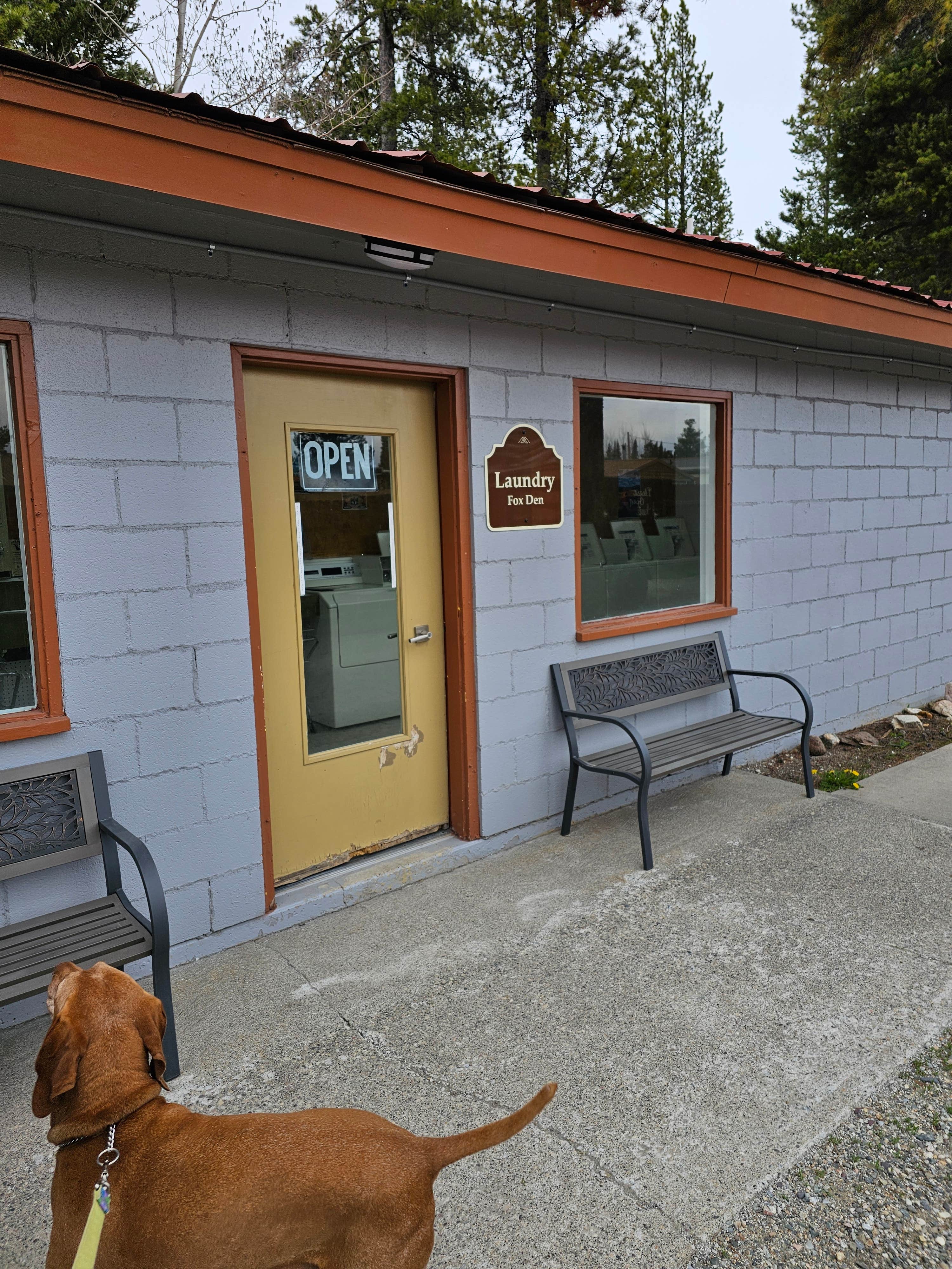 Camper-submitted photo at Fox Den RV and Campground near West Yellowstone, MT