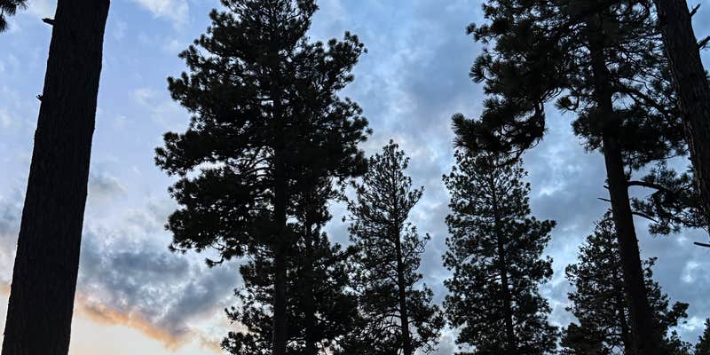 Camper submitted image from Fox Hill Campground by MERA Motocross Track