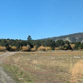 Review photo of Foy Lake Rd Fishing/Camping Site by Greg L., September 27, 2024