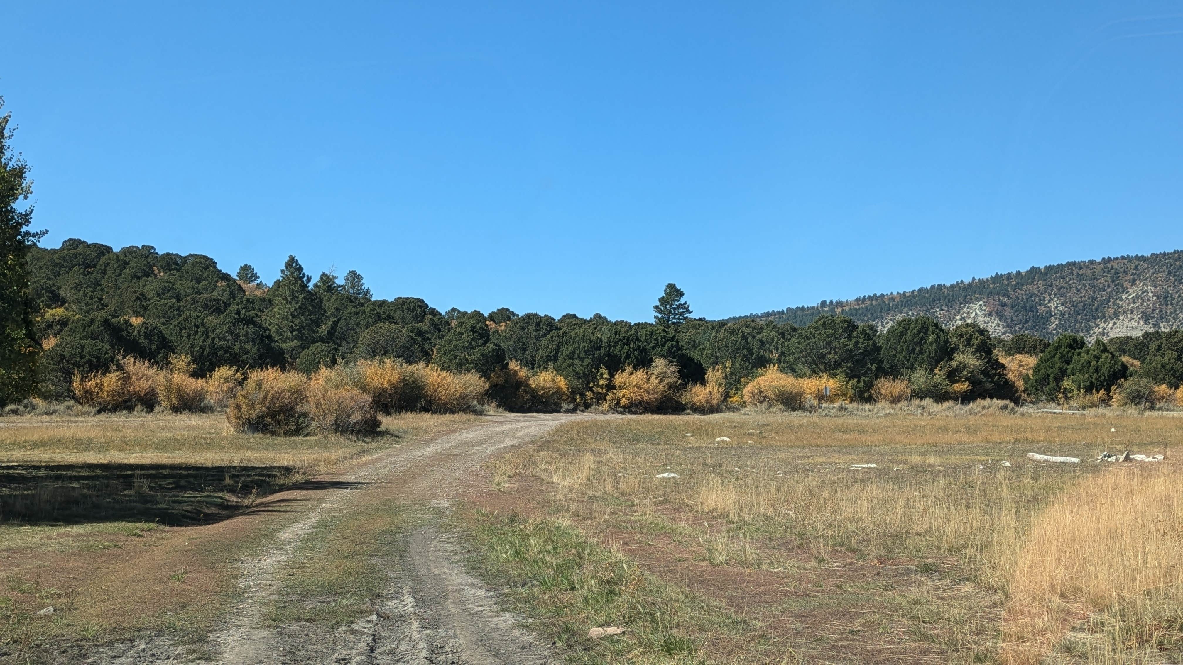 Camper submitted image from Foy Lake Rd Fishing/Camping Site - 4