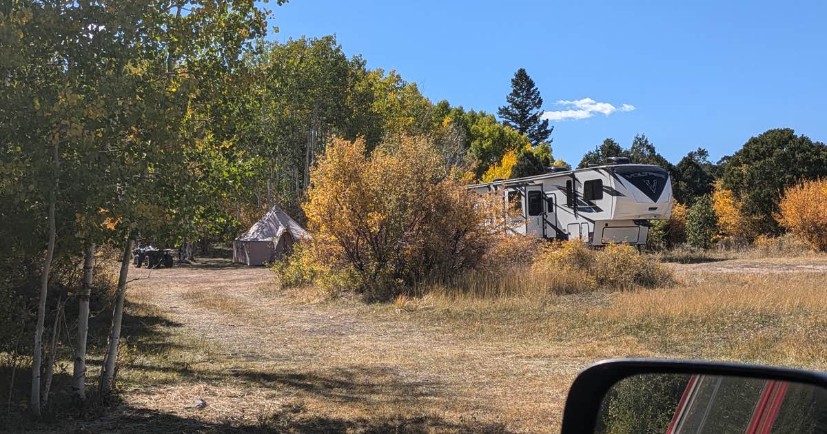 Foy Lake Rd Fishing/Camping Site