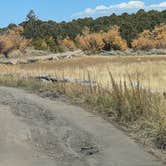 Review photo of Foy Lake Rd Fishing/Camping Site by Greg L., September 27, 2024