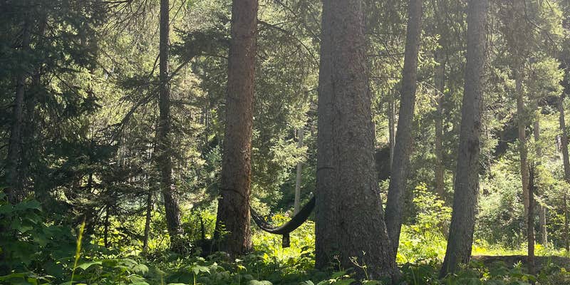 Camper submitted image from FR 024 Dispersed