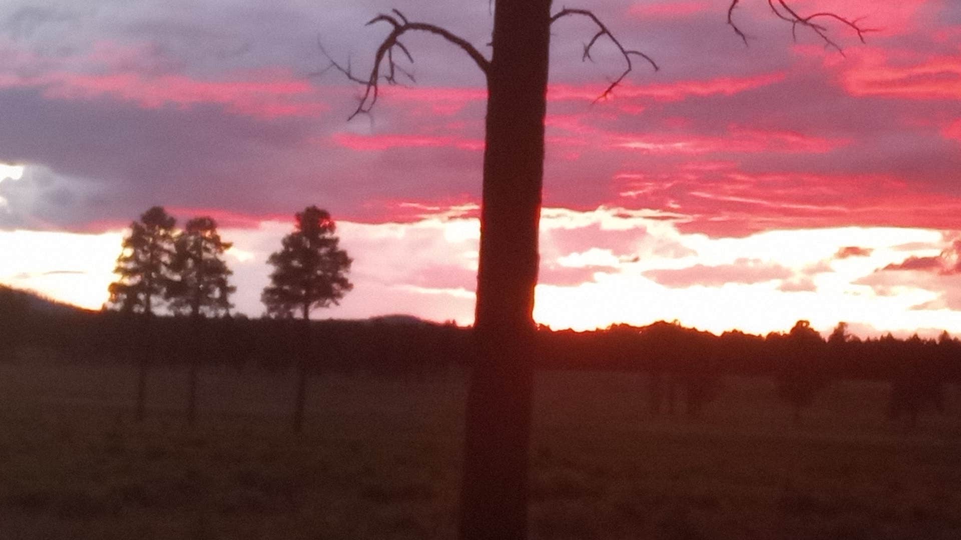 Nomadic  E.'s photo of a dispersed camping area at FR 222 Dispersed in Arizona