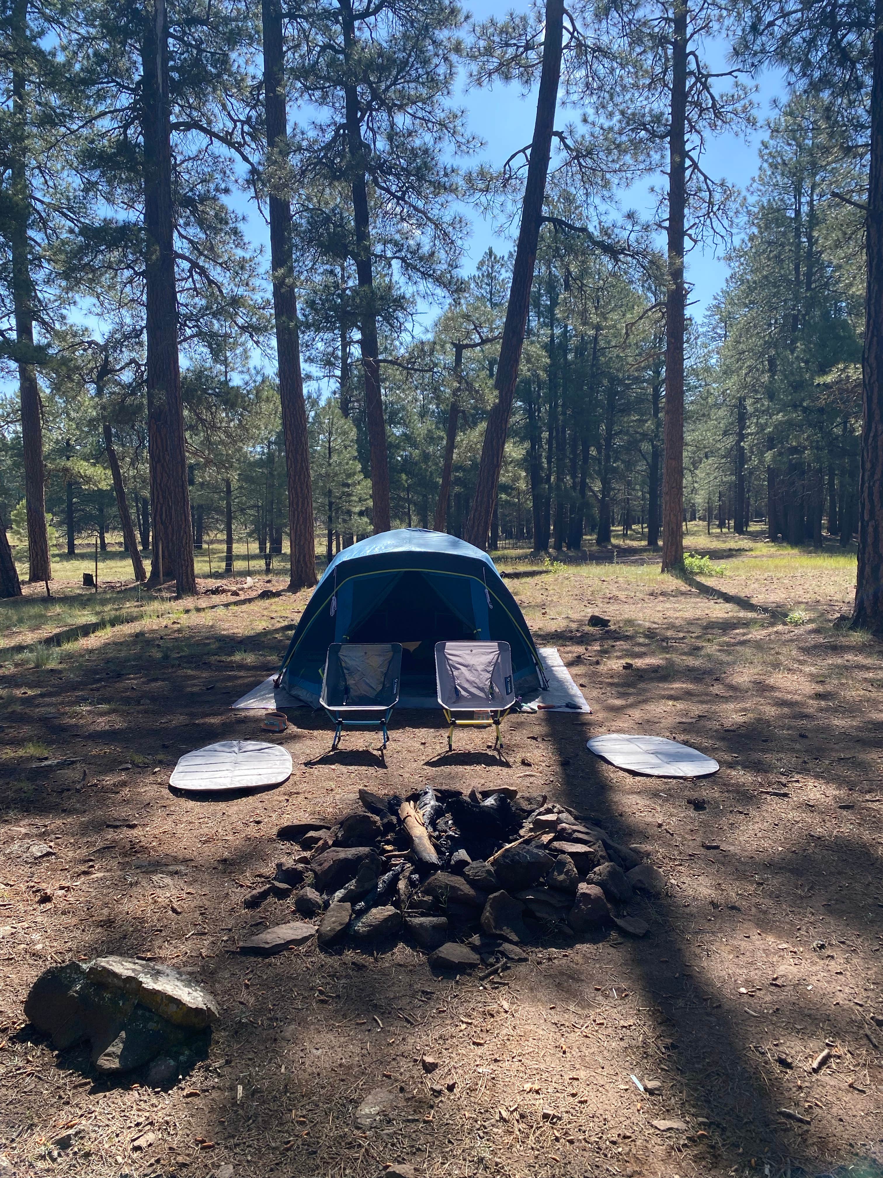 Zach H.'s photo of tent camping at FR 240 Dispersed Camping near Camp Verde, AZ