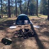 Review photo of FR 240 Dispersed Camping by Zach H., July 6, 2025