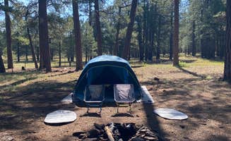 Zach H.'s photo of tent camping at FR 240 Dispersed Camping near Cottonwood, AZ