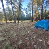 Review photo of FR 240 Dispersed Camping by Zach H., July 6, 2025