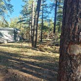 Review photo of FR 240 Dispersed Camping by wayne H., October 30, 2025