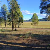 Review photo of FR 240 Dispersed Camping by Paul K., September 24, 2026