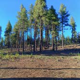 Review photo of FR 240 Dispersed Camping by Paul K., September 24, 2026