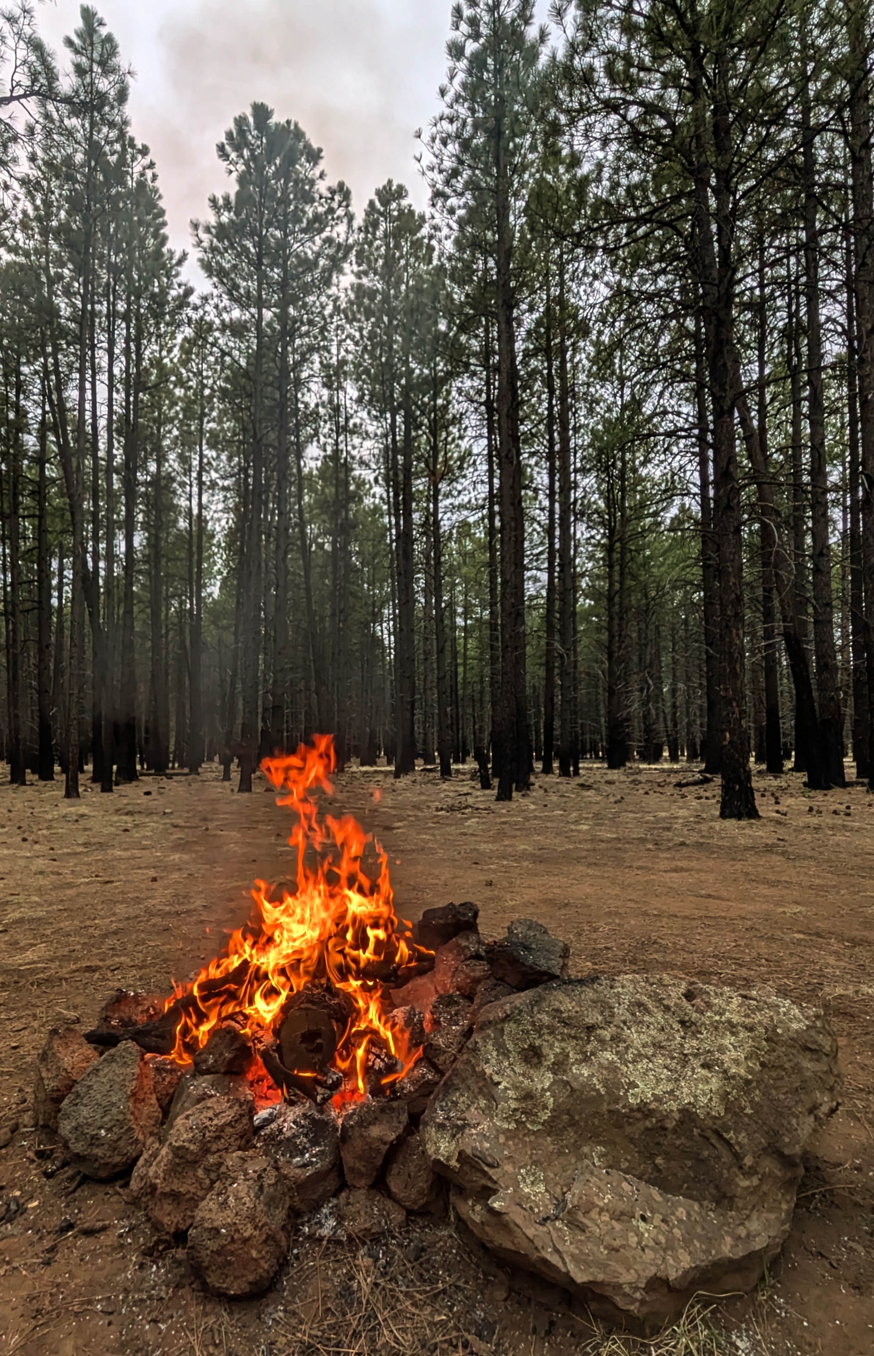 Camping near Village Camp Flagstaff: FR 245 - Dispersed Camping, Bellemont, Arizona