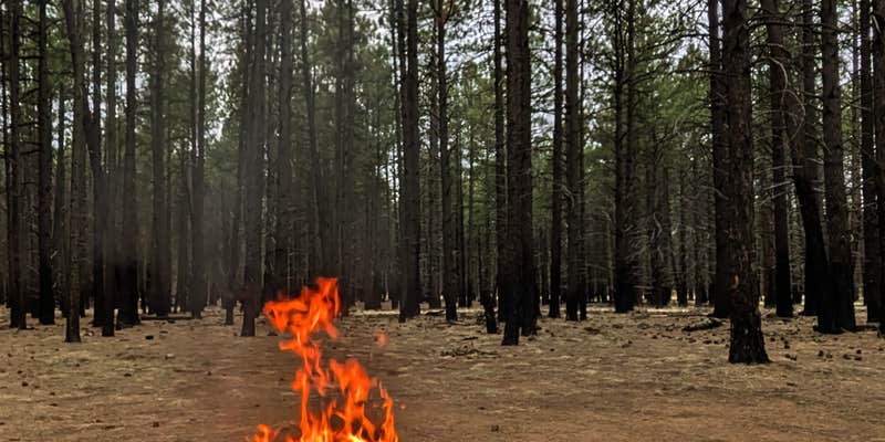 Camper submitted image from FR 245 - Dispersed Camping