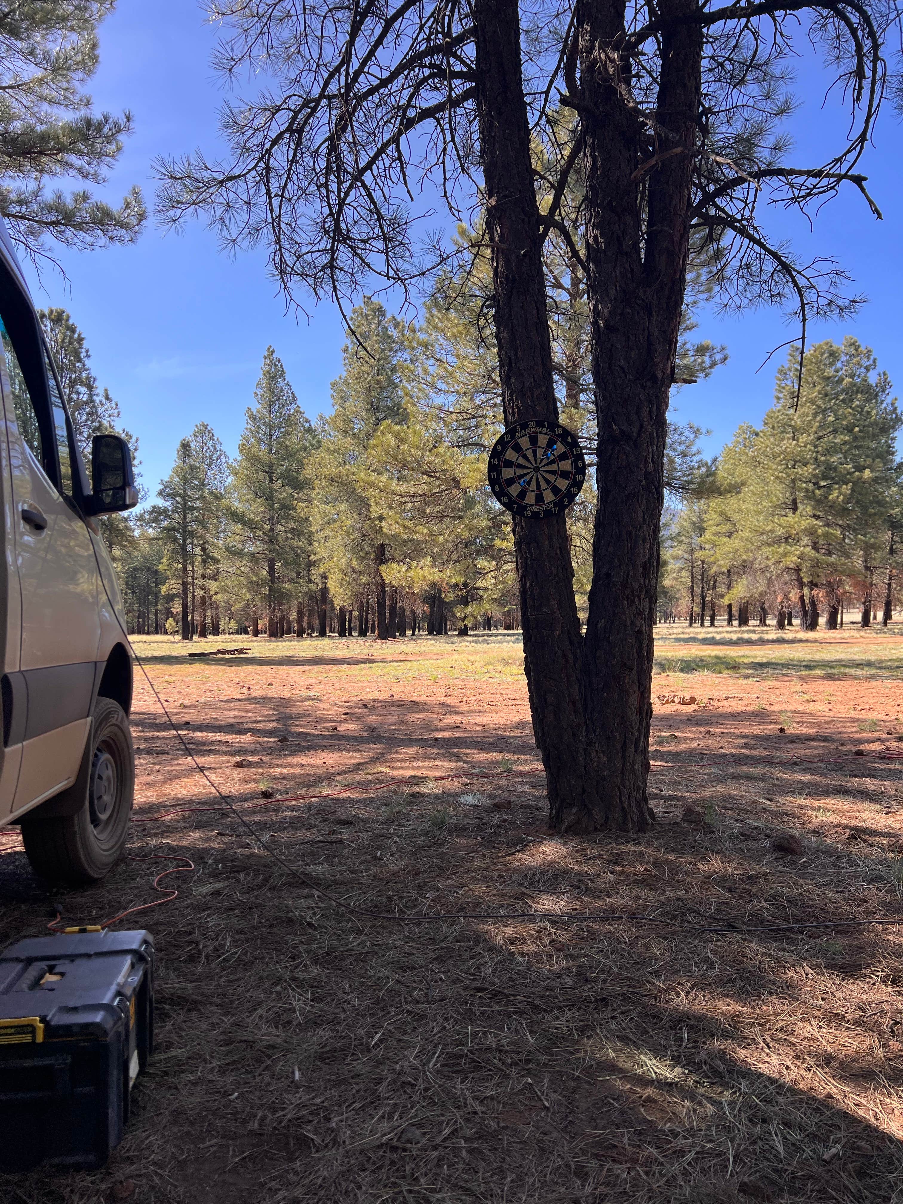 Camper-submitted photo at FR 245 - Dispersed Camping near Parks, AZ