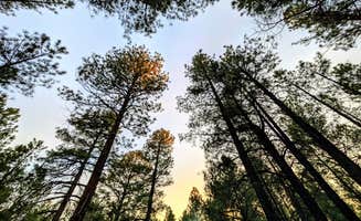 The Longs ..'s photo of a dispersed camping area at FR 245 - Dispersed Camping near Williams, AZ