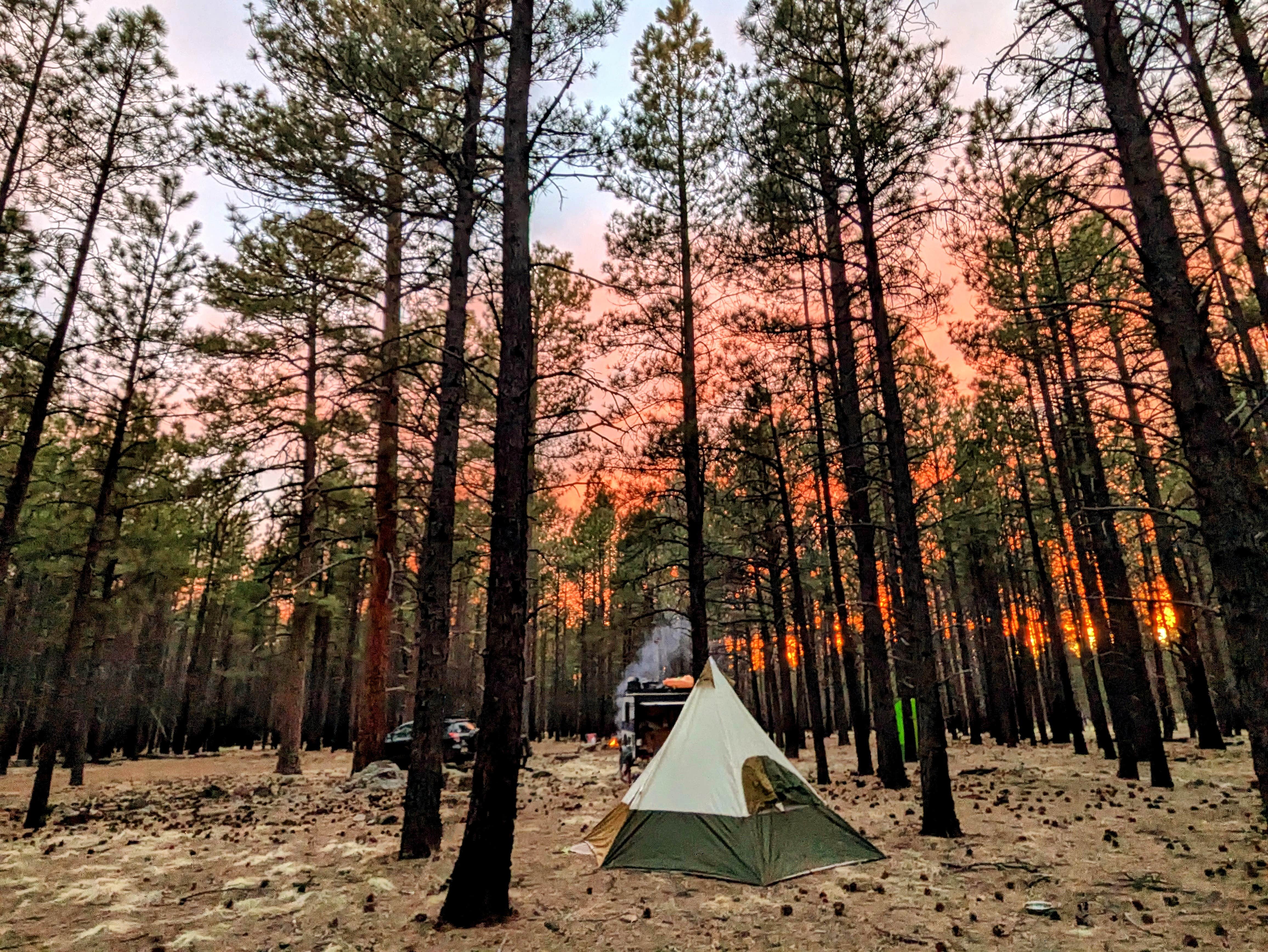 The Longs ..'s photo at FR 245 - Dispersed Camping near Bellemont, AZ