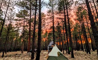 The Longs ..'s photo at FR 245 - Dispersed Camping near Parks, AZ