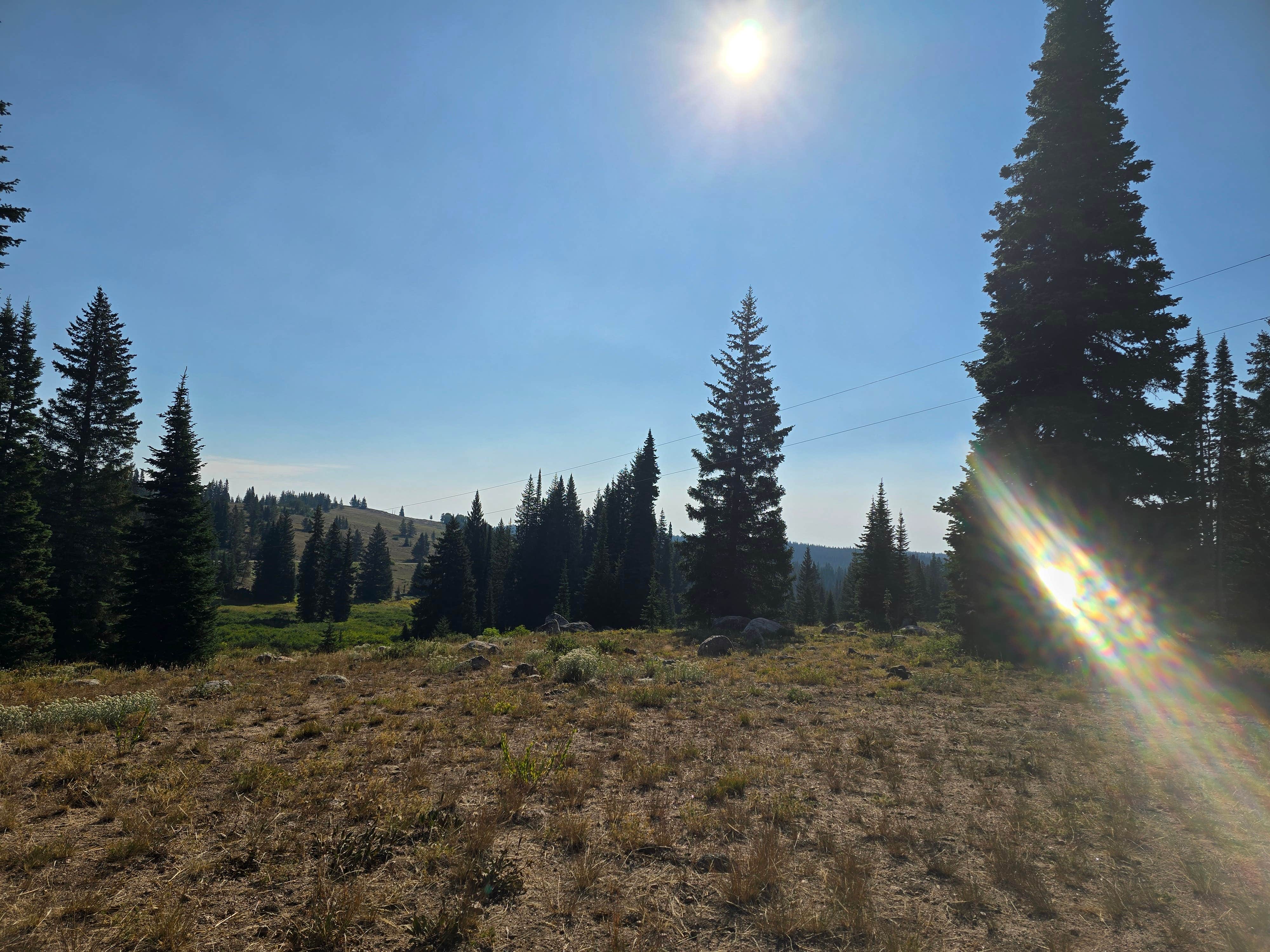 Camper-submitted photo at FR-302 Dispersed Camping - Rabbit Ears Pass near Coalmont, CO