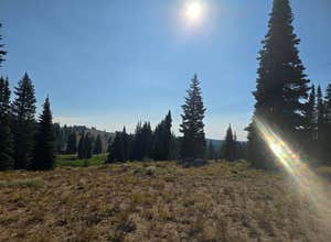 FR-302 Dispersed Camping - Rabbit Ears Pass