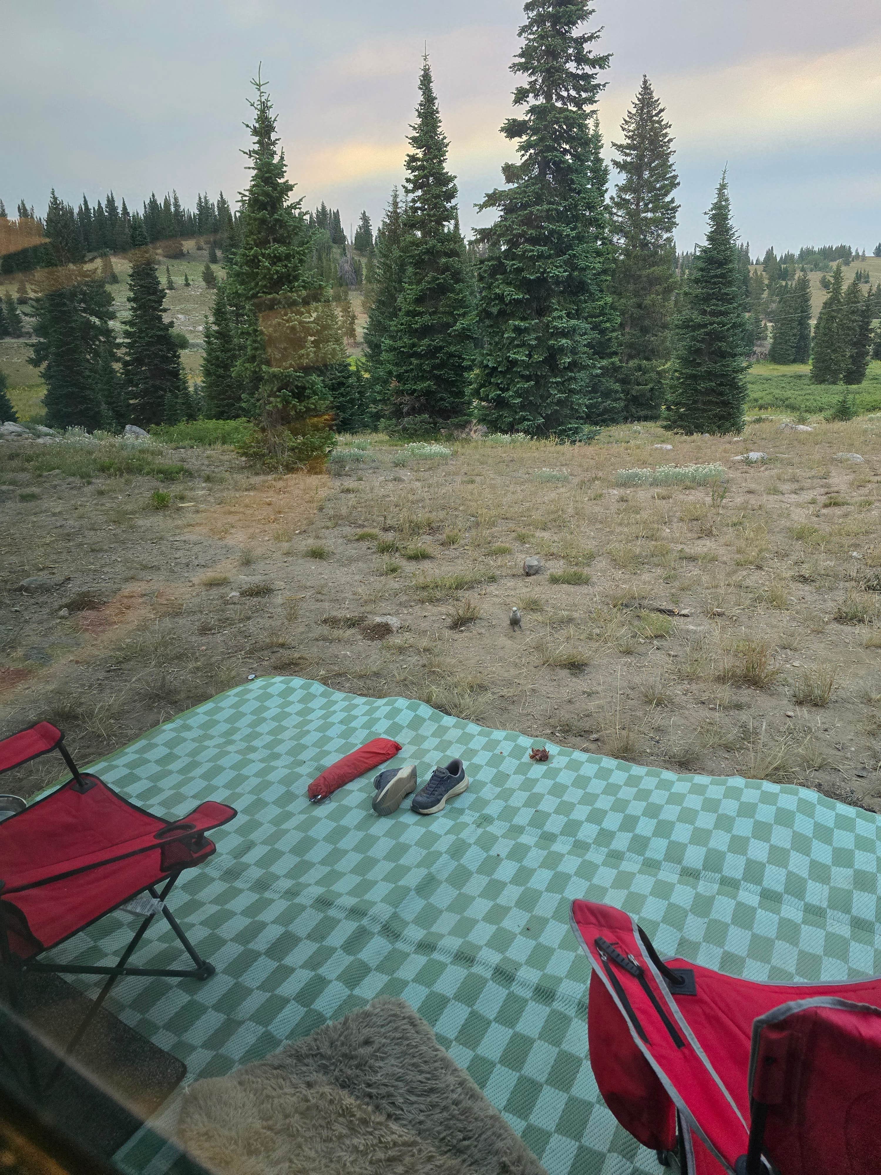 Camper-submitted photo at FR-302 Dispersed Camping - Rabbit Ears Pass near Coalmont, CO