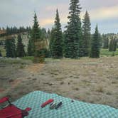Review photo of FR-302 Dispersed Camping - Rabbit Ears Pass by Sue B., August 10, 2025