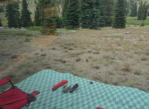 FR-302 Dispersed Camping - Rabbit Ears Pass