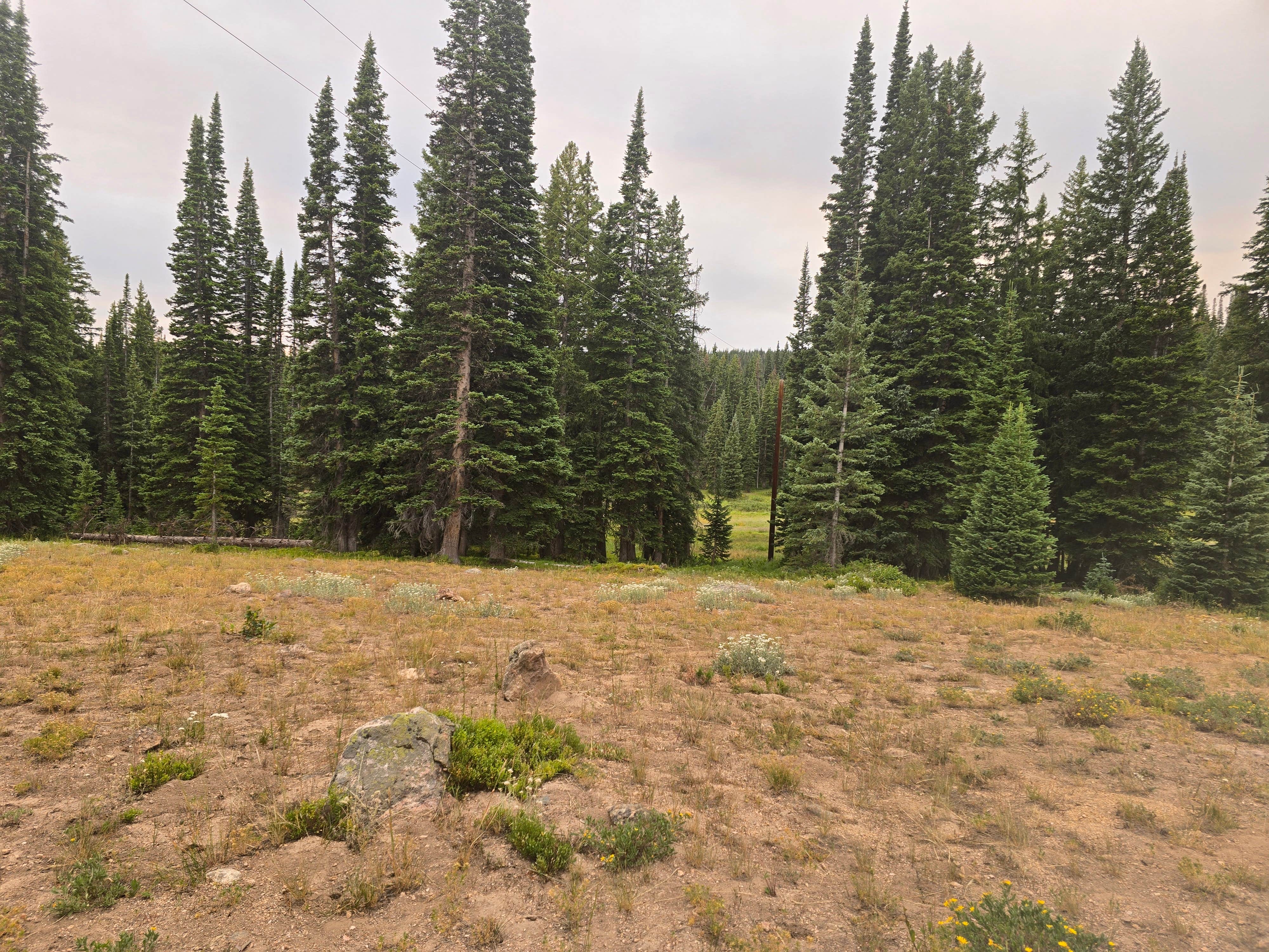 Camper-submitted photo at FR-302 Dispersed Camping - Rabbit Ears Pass near Oak Creek, CO