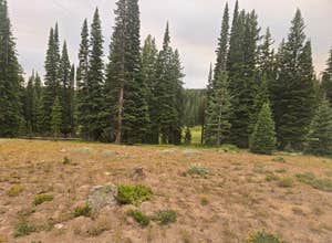 FR-302 Dispersed Camping - Rabbit Ears Pass