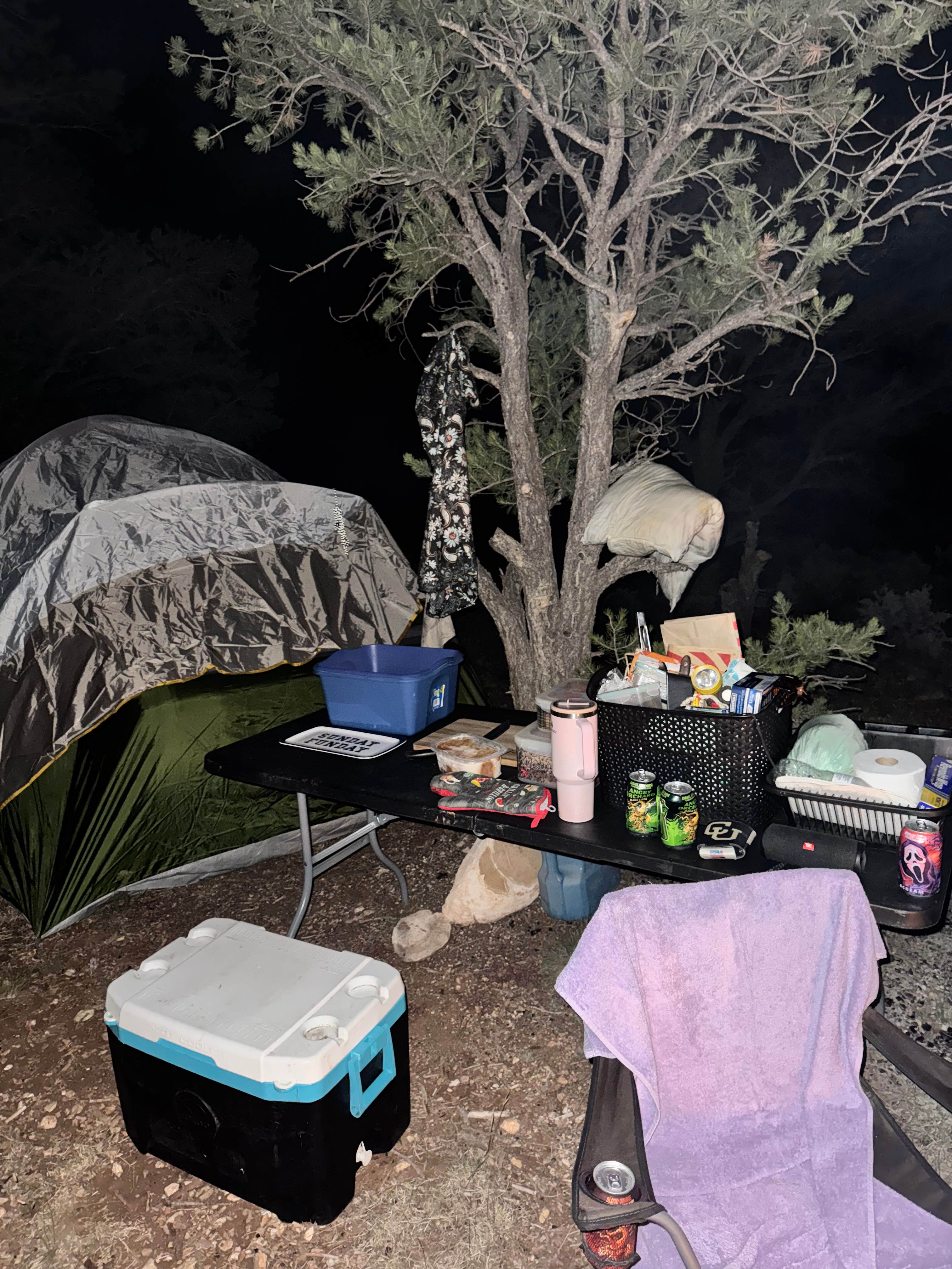 Camper-submitted photo at FR 307P Dispersed near Cameron, AZ