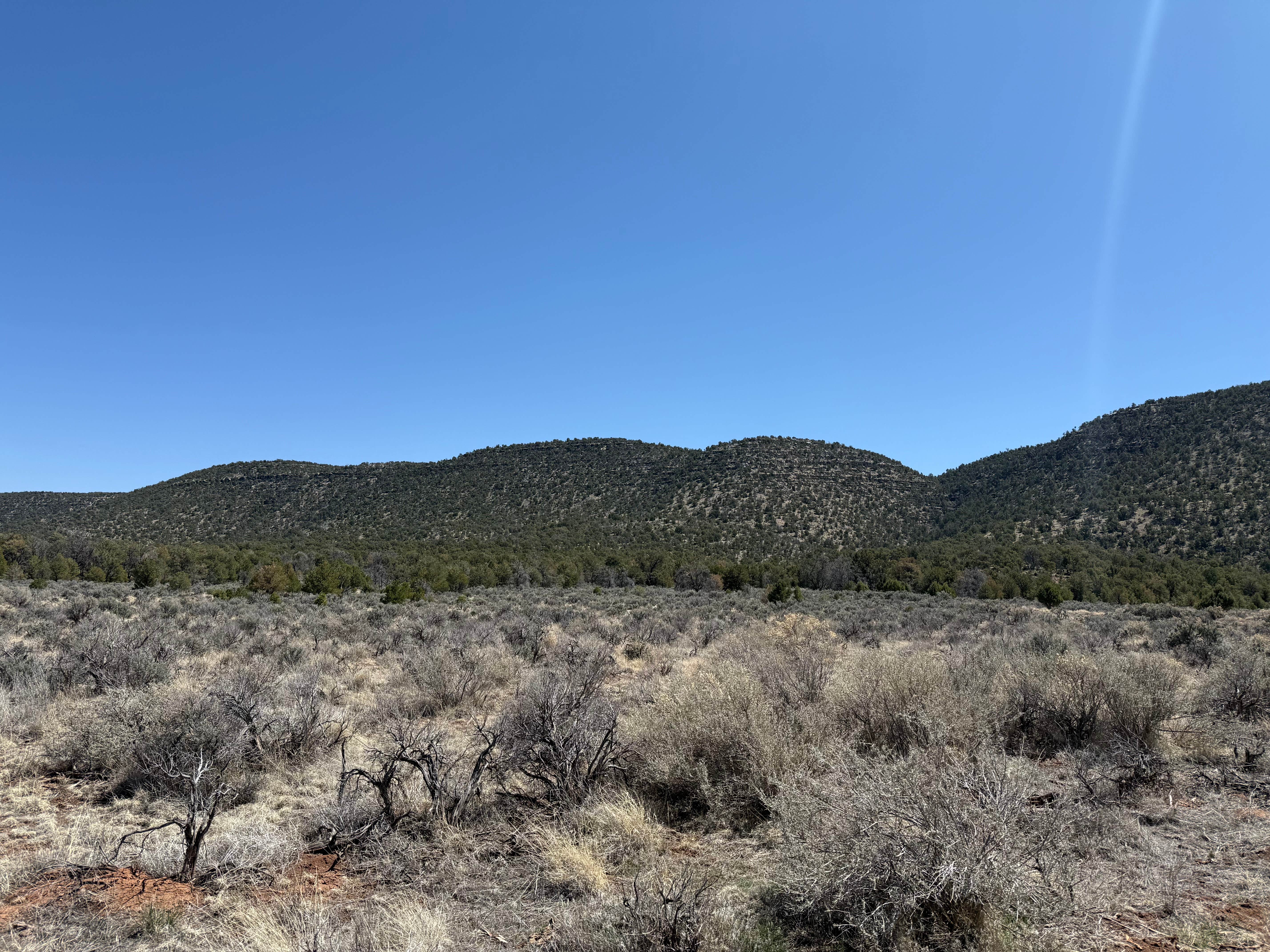 Camper-submitted photo at FR 307P Dispersed near Tuba City, AZ