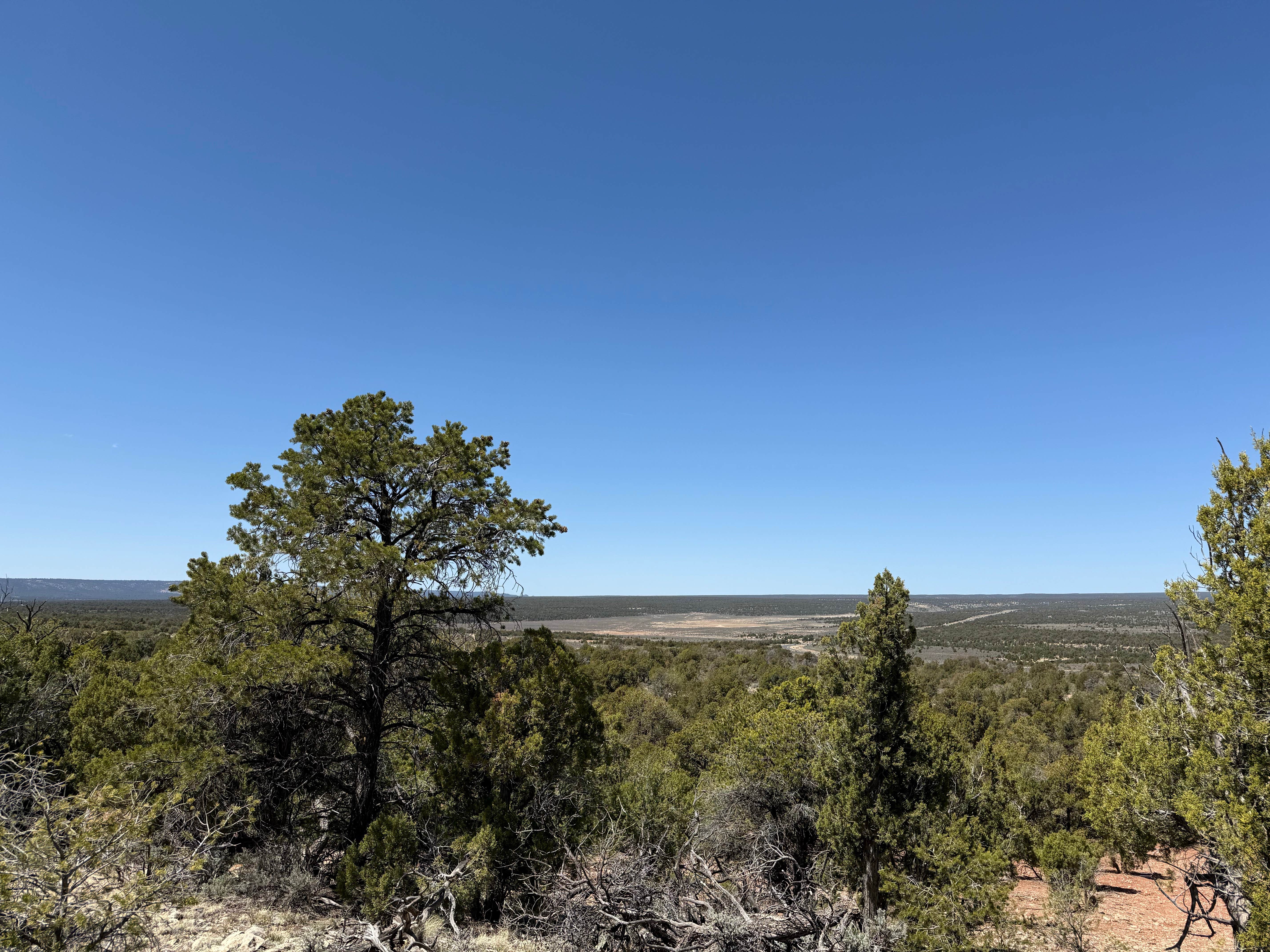 Camping near Forest Road 682: FR 307P Dispersed, Cameron, Arizona