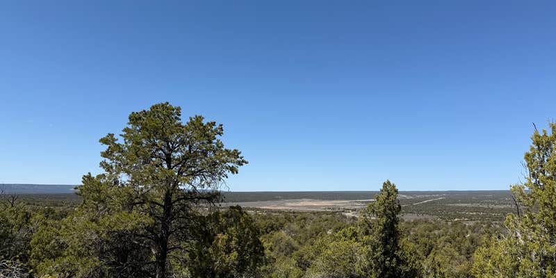 Camper submitted image from FR 307P Dispersed