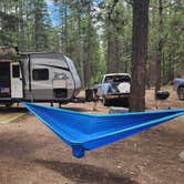Review photo of FR 34B Dispersed Camping by Jose J., July 21, 2026
