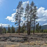 Review photo of FR 48 Dispersed Camping by Steven W., March 25, 2026