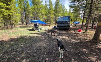 Jeremy F.'s photo of camping with pets at FR 48 Dispersed Camping near Climax, CO