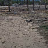 Review photo of FR 48 Dispersed Camping by johny R., October 22, 2025