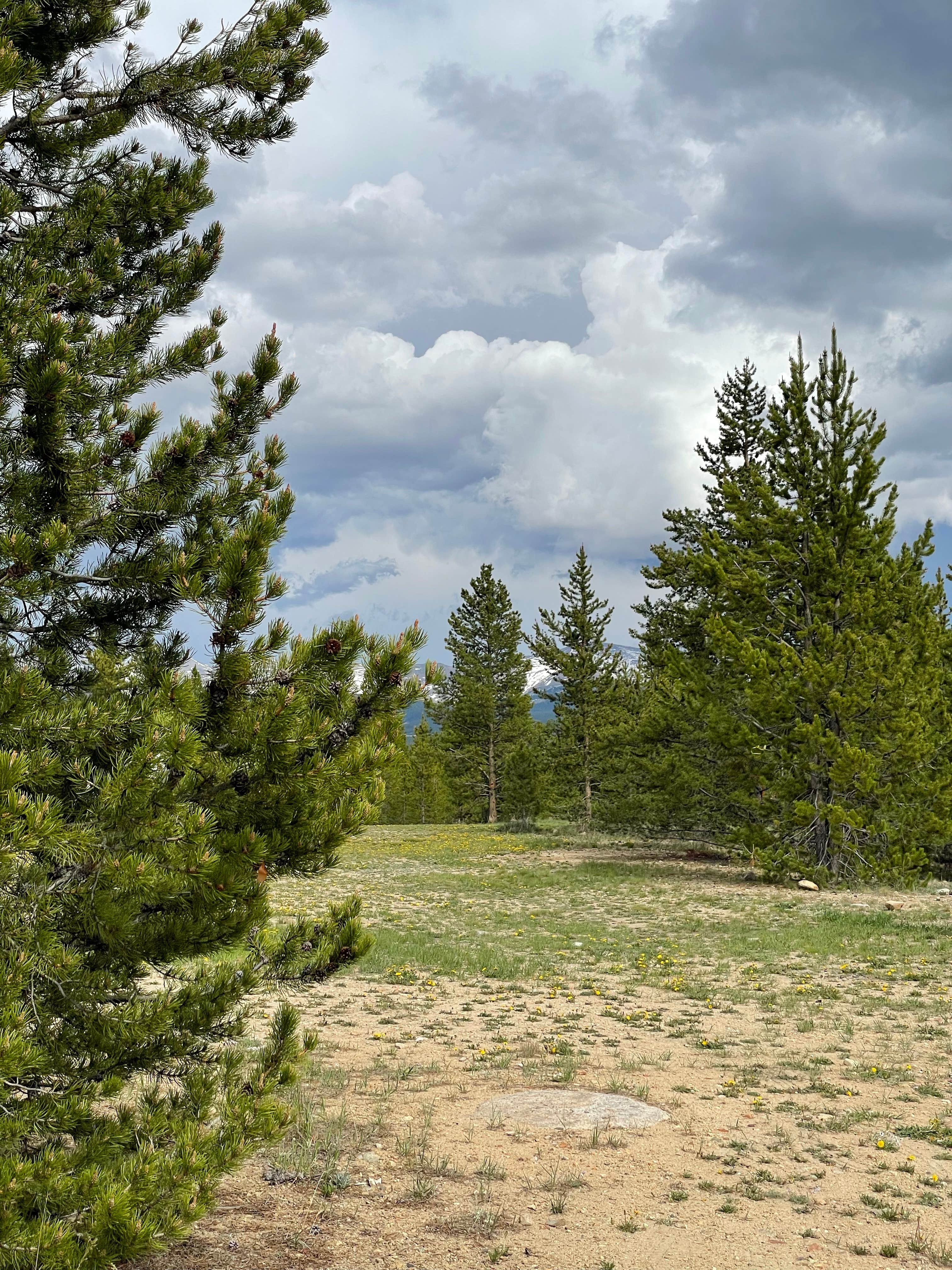 marine J.'s photo of a dispersed camping area at FR 48 Dispersed Camping near Climax, CO