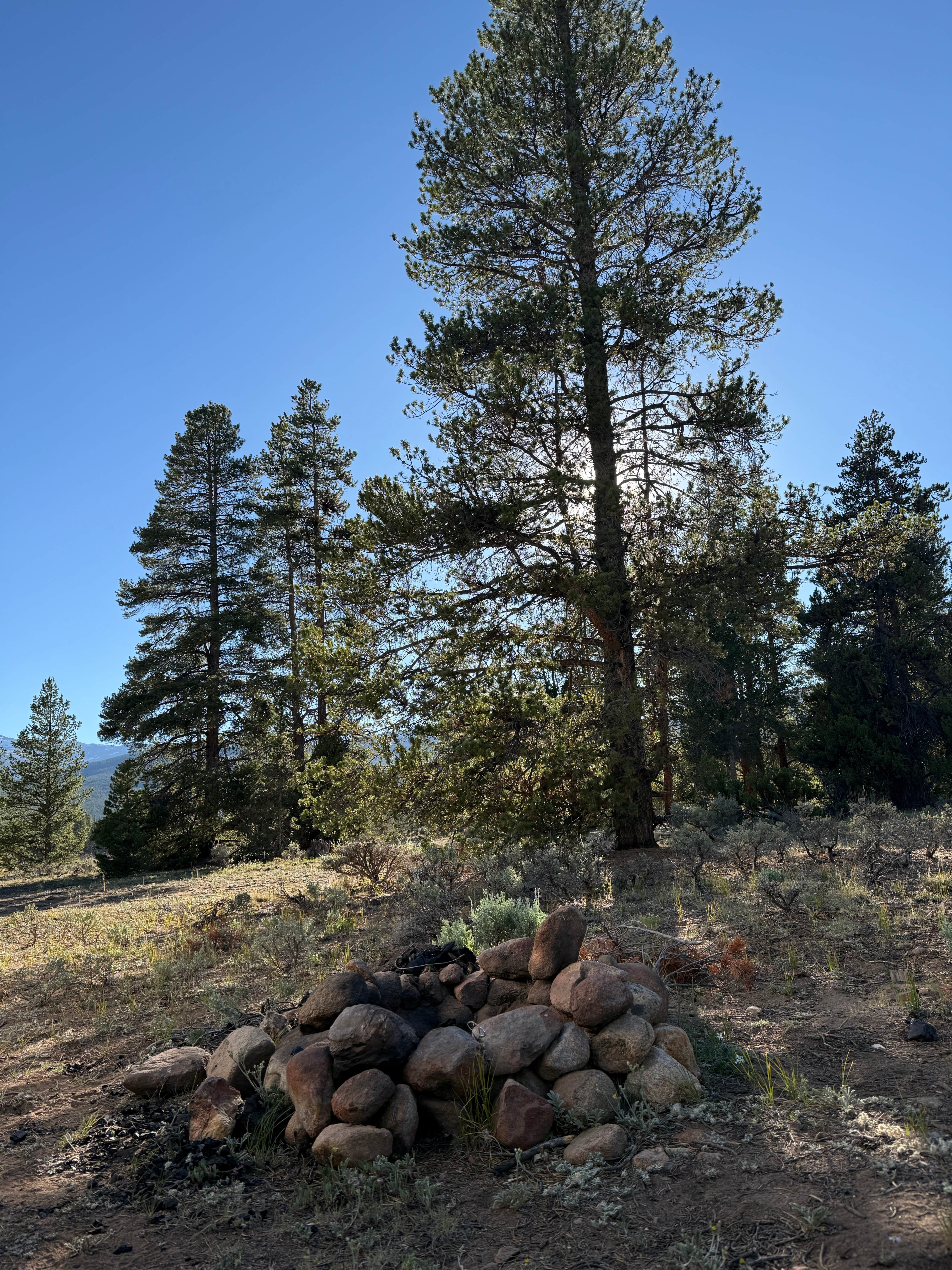 Camper-submitted photo at FR 48 Dispersed Camping near Alma, CO