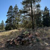 Review photo of FR 48 Dispersed Camping by Rebecca B., June 17, 2026