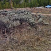 Review photo of FR 48 Dispersed Camping by johny R., October 22, 2025
