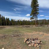 Review photo of FR 48 Dispersed Camping by Haley L., May 23, 2026