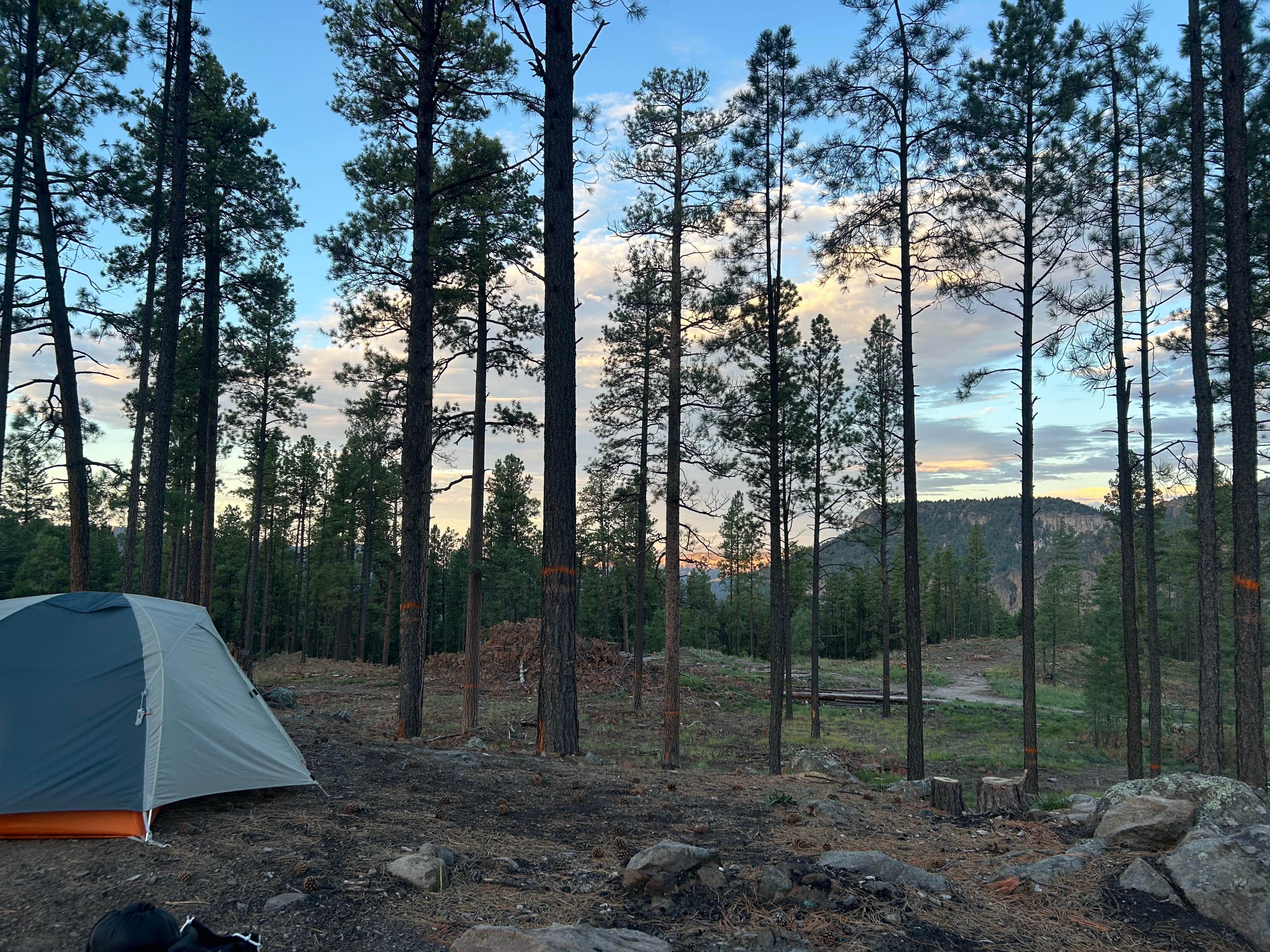 Camping near Pajarito Springs (Dispersed): FR 4B Dispersed, Jemez Springs, New Mexico