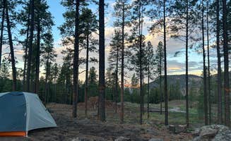 Andrea P.'s photo at FR 4B Dispersed near Jemez Springs, NM